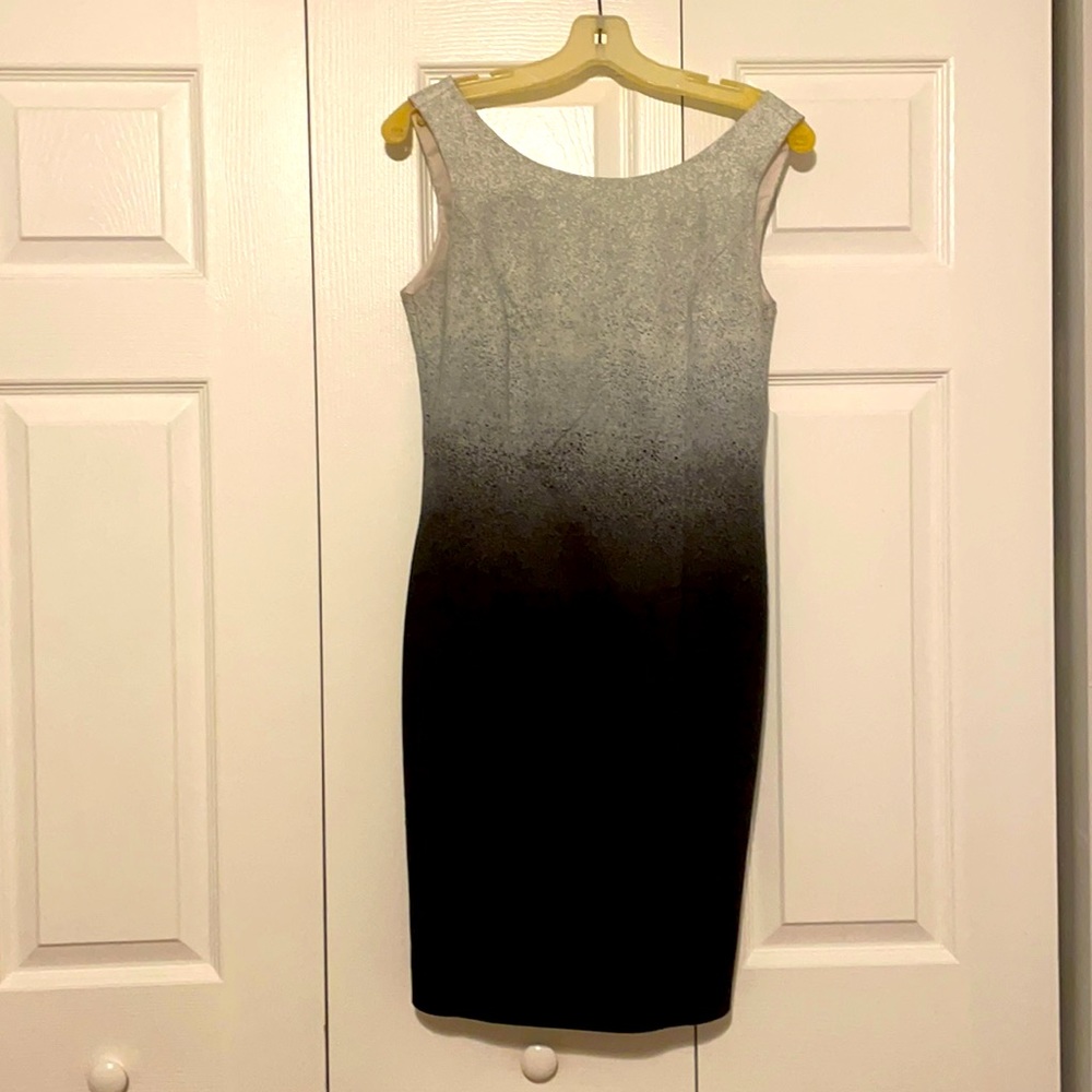 Banana Republic professional ombré dress